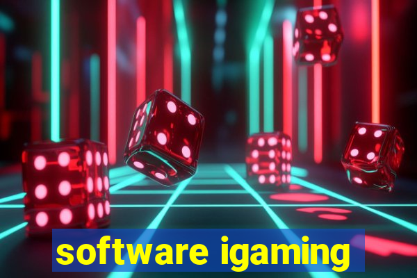 software igaming