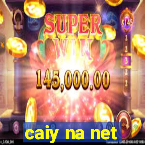 caiy na net