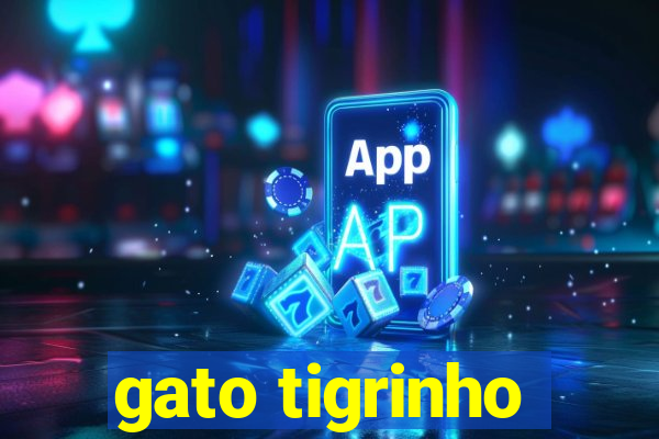 gato tigrinho