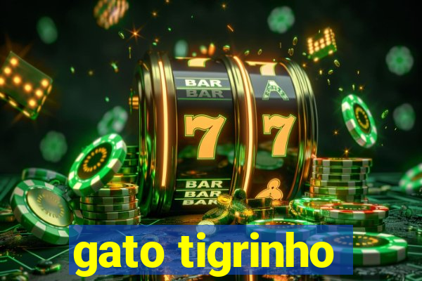 gato tigrinho