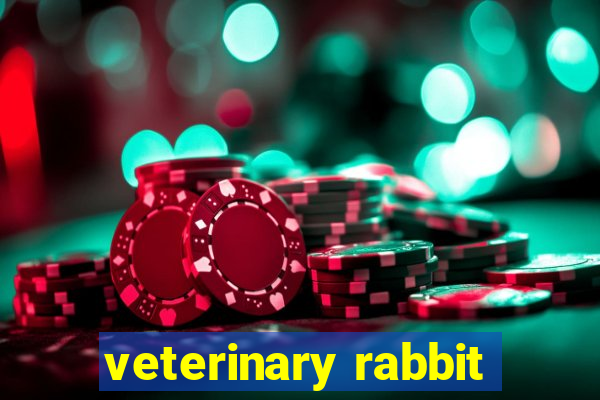 veterinary rabbit