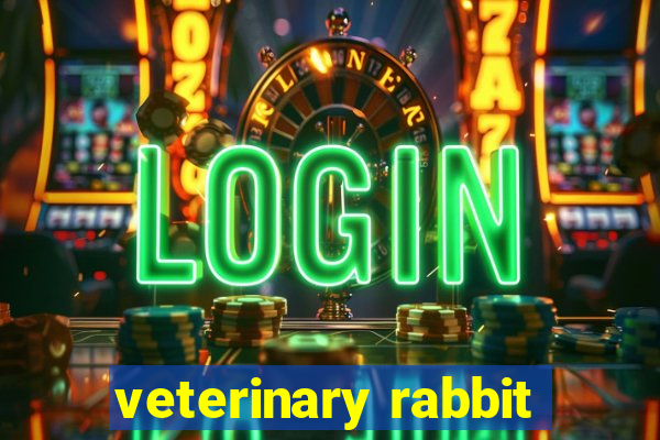 veterinary rabbit