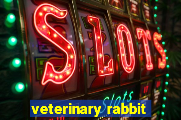 veterinary rabbit