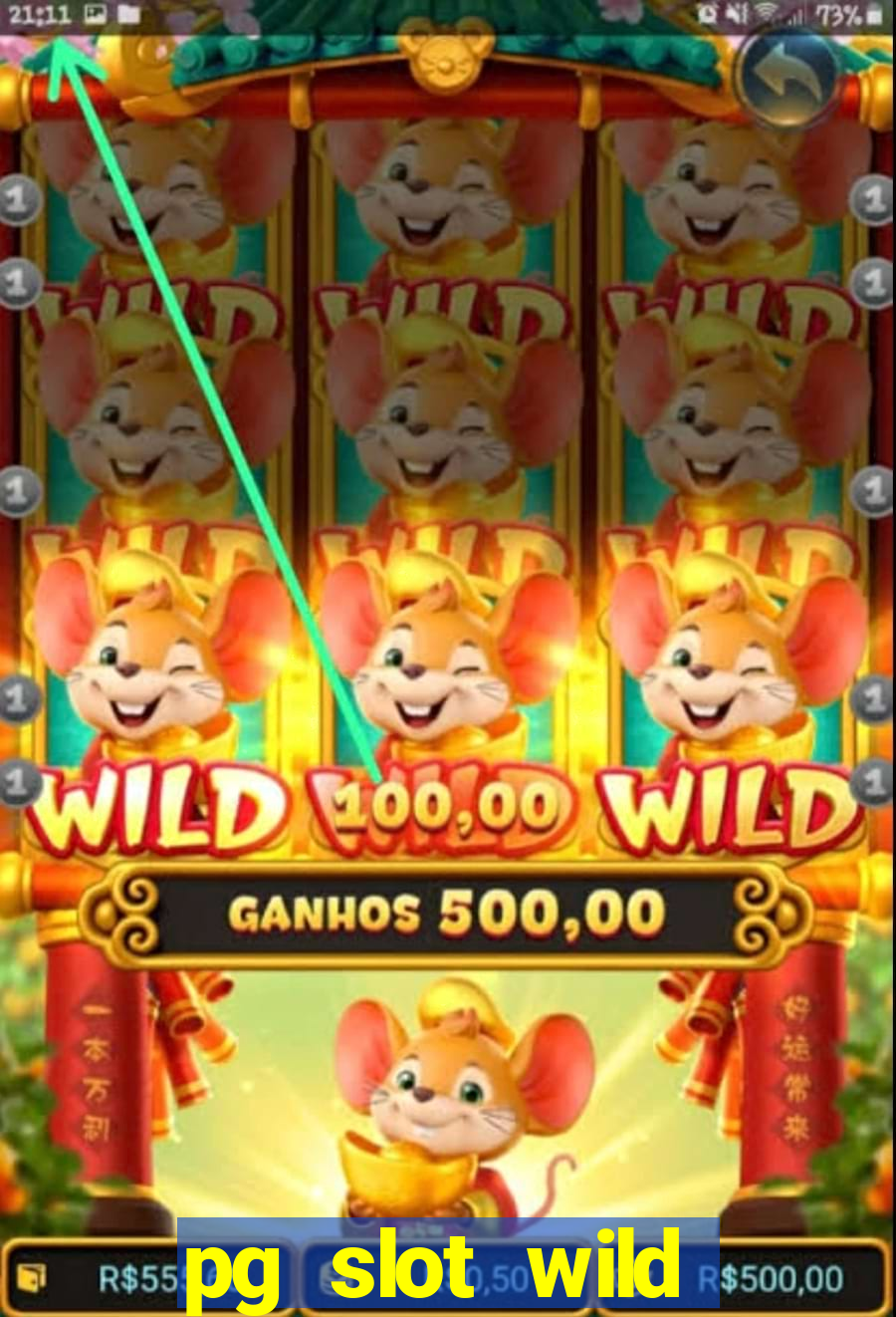 pg slot wild bounty showdown