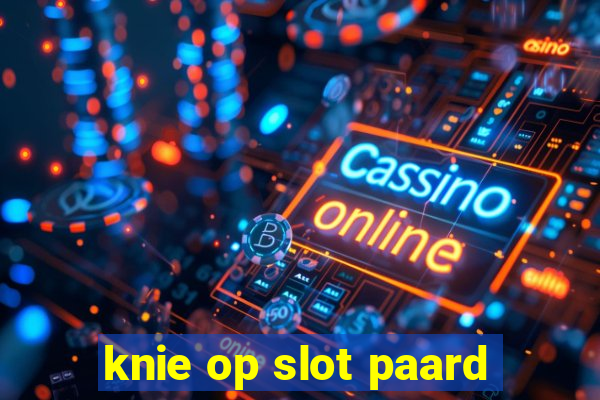 knie op slot paard