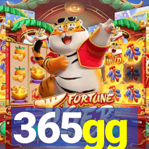 365gg