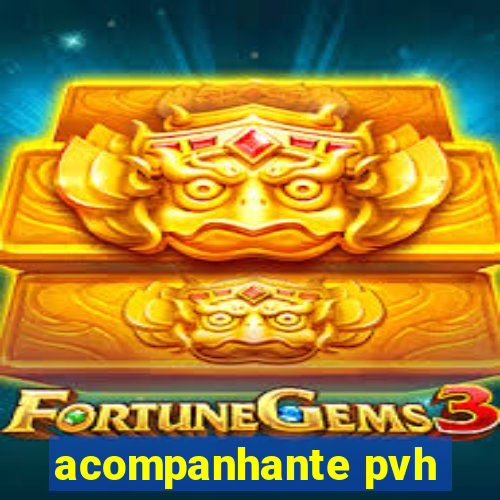 acompanhante pvh