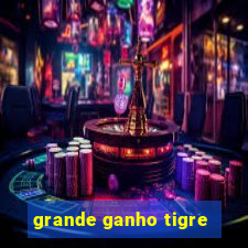 grande ganho tigre