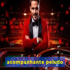 acompanhante peludo