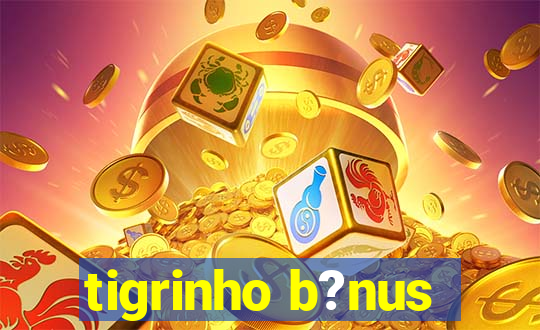 tigrinho b?nus