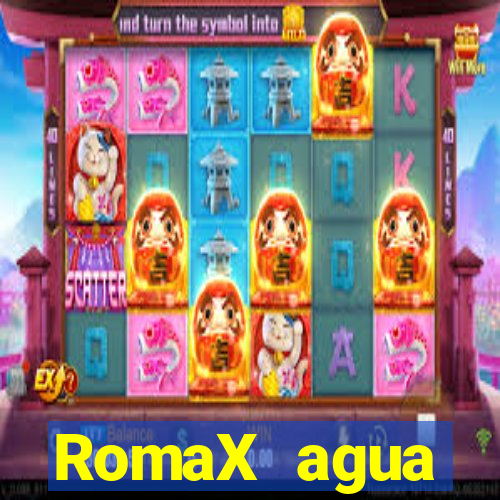 RomaX agua sanitaria fispq agua sanitaria romax