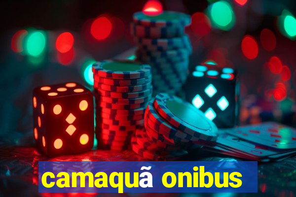 camaquã onibus