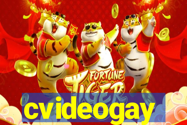 cvideogay