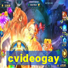 cvideogay