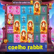 coelho rabbit