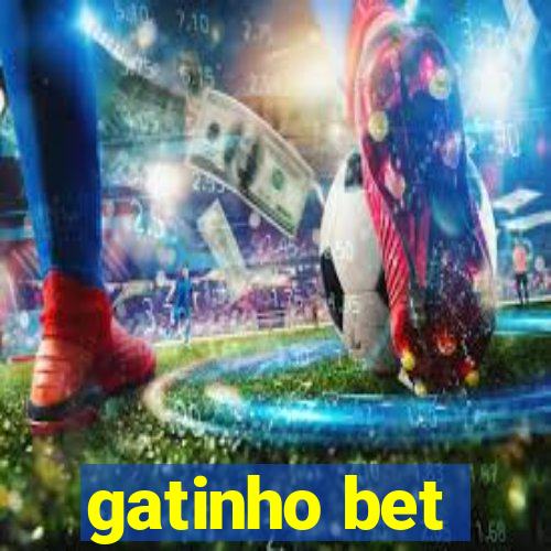 gatinho bet