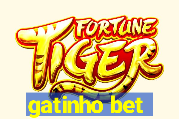 gatinho bet