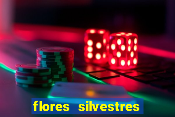 flores silvestres desbravadores desbravadores 25 flores silvestres e seus nomes