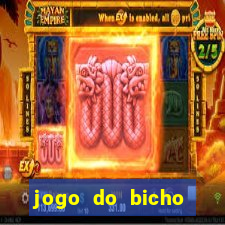 jogo do bicho ganhar dinheiro