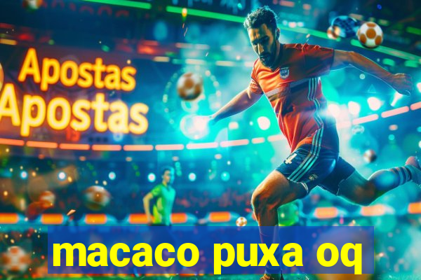 macaco puxa oq