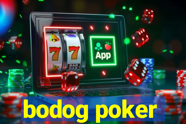 bodog poker