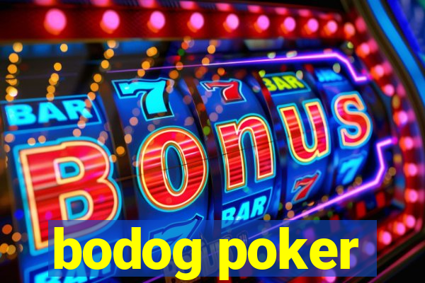 bodog poker