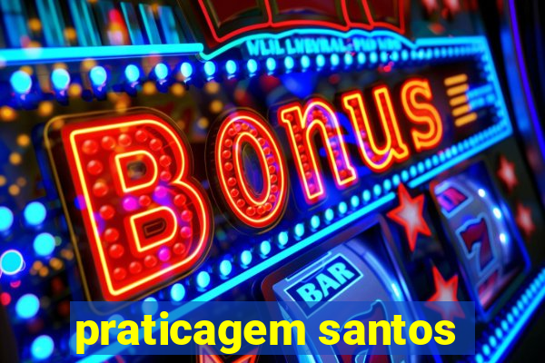 praticagem santos