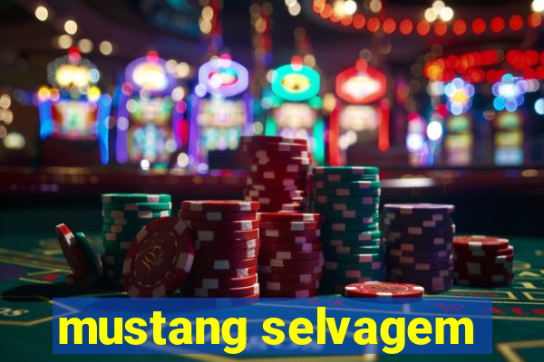 mustang selvagem