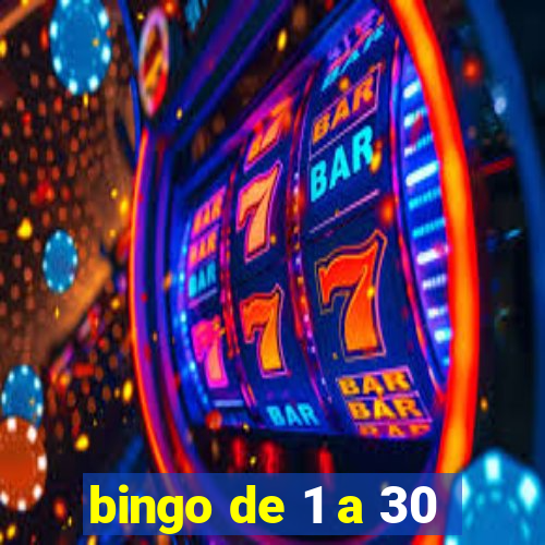 bingo de 1 a 30