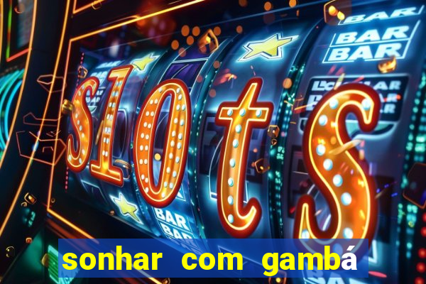 sonhar com gambá jogo do bicho