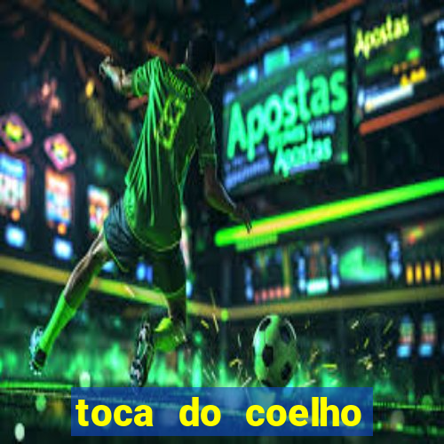 toca do coelho mogi das cruzes