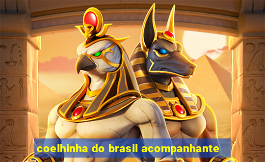 coelhinha do brasil acompanhante