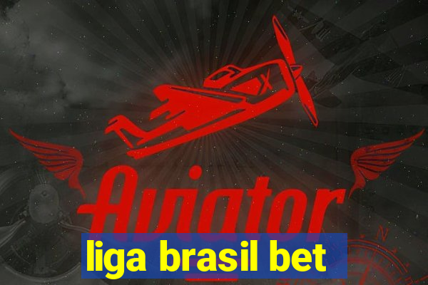 liga brasil bet