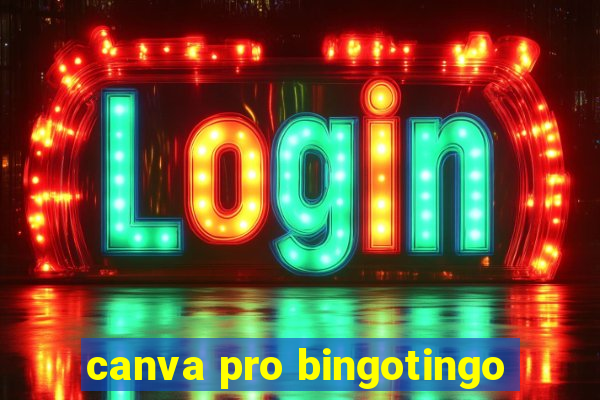 canva pro bingotingo