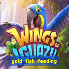 gold fish feeding time treasure slot online