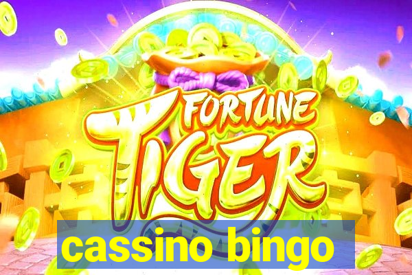 cassino bingo