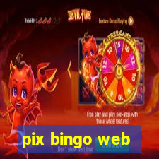 pix bingo web