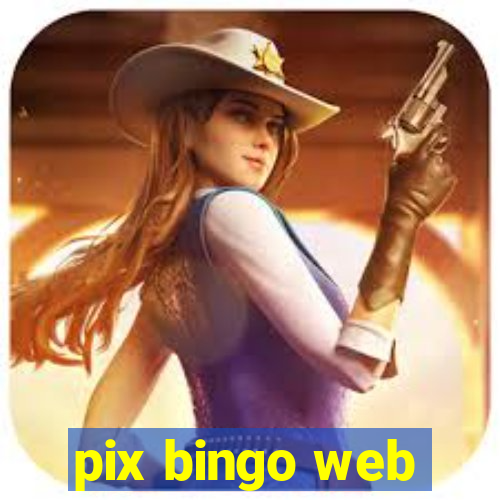 pix bingo web