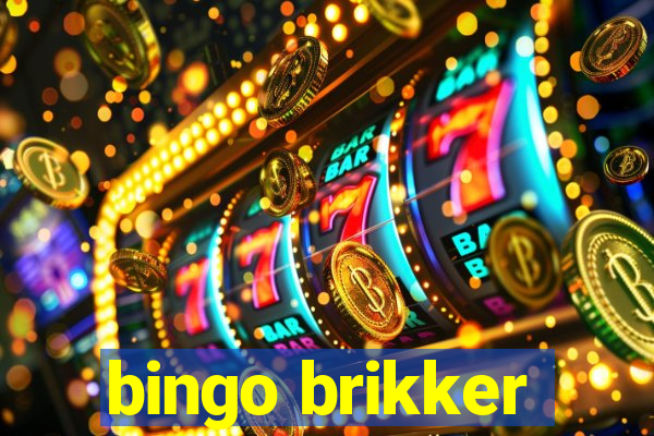 bingo brikker