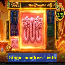 bingo numbers with highest probability