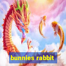 bunnies rabbit