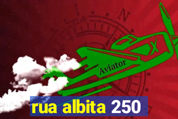 rua albita 250