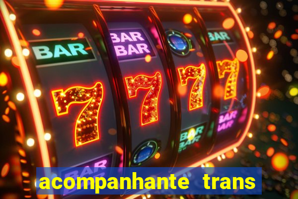 acompanhante trans porto seguro