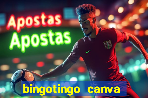 bingotingo canva pro gratis