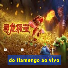 do flamengo ao vivo