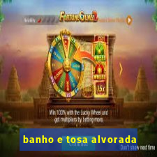 banho e tosa alvorada