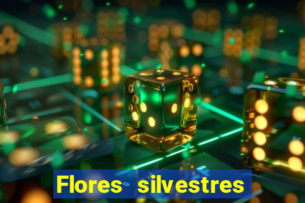 Flores silvestres brasileiras brasileiras flores silvestres nomes e imagens