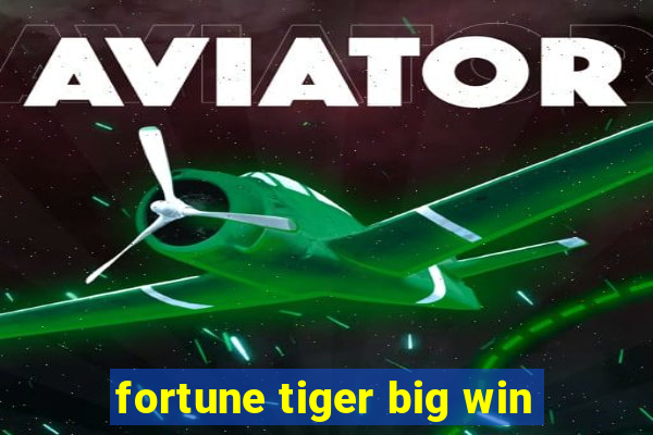 fortune tiger big win