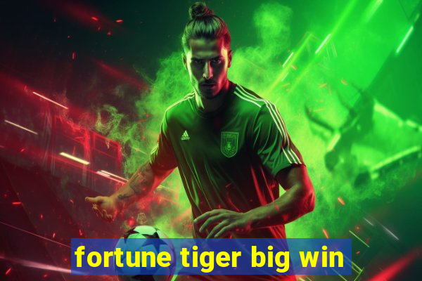 fortune tiger big win