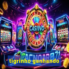 tigrinho ganhando